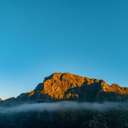 Du.val - Madeira Valley *